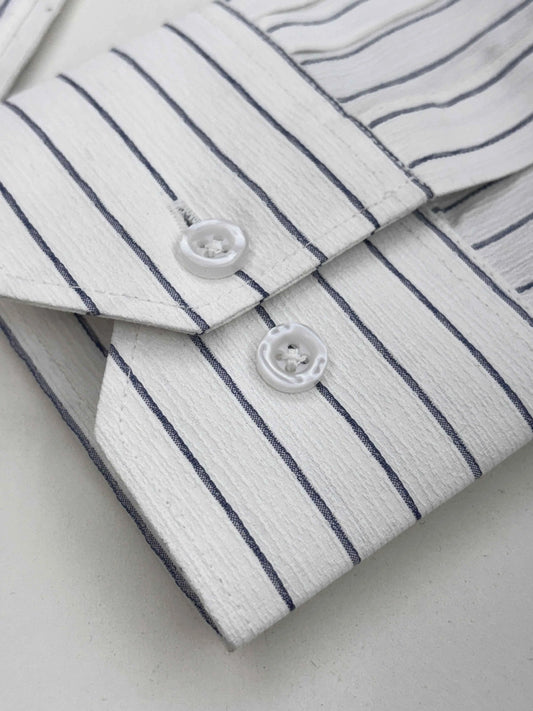 Classic White Blue Striped Shirt